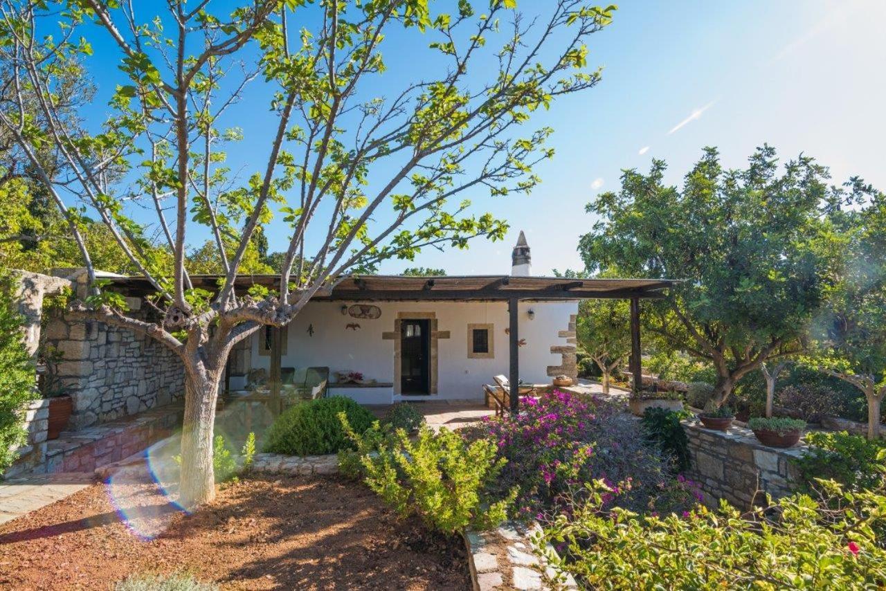 אבלמונאס Villa Venus מראה חיצוני תמונה