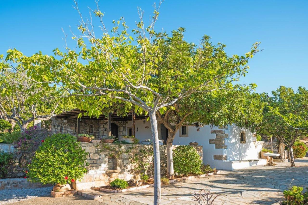 אבלמונאס Villa Venus מראה חיצוני תמונה